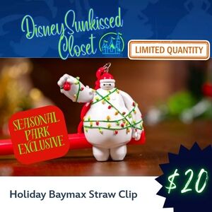 DCA Exclusive Seasonal Baymax Clip Bag Charm